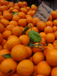 Souk el Asr